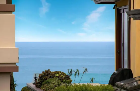 56286 144837 sk7OBwN 7BAoL At5ktmE8VI8tEHWKkPnYPRMMvukpE 63e26bc20aae9.jpg