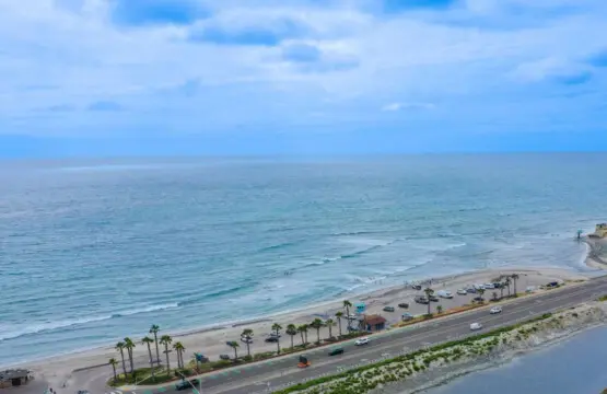 56286 171713 19fEMXsp7EBzBJ8u0BBiXmxP07bNDGZtFGEvMFmVXOg 647e873d252b8.jpg