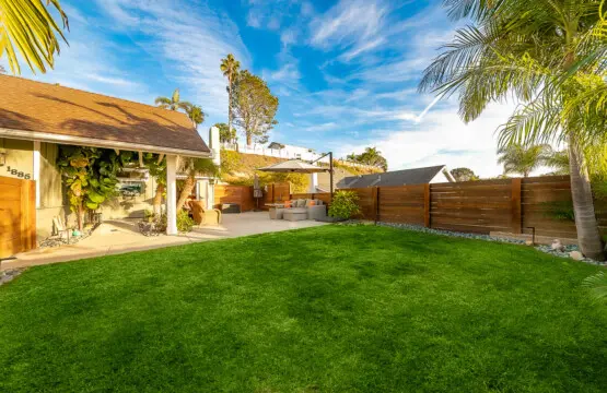 56286 449315 jpf9Ev2cdWZ4sZ eQLkUP8nUq56evGxWa3bj 19KF9k 6908f91a6fce4.jpg